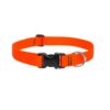668 - Basics Adjustable Collar Orange 1″ For Big Dogs