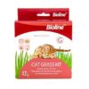 6970117120318 cat grass - Bioline - Paw Cleaning Foam 100ml (cat)