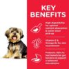Adult SM Stomach Skin Chicken Transition Benefits - Hill's Science Plan - Sensitive Stomach & Skin Small & Mini Adult Dog Food With Chicken