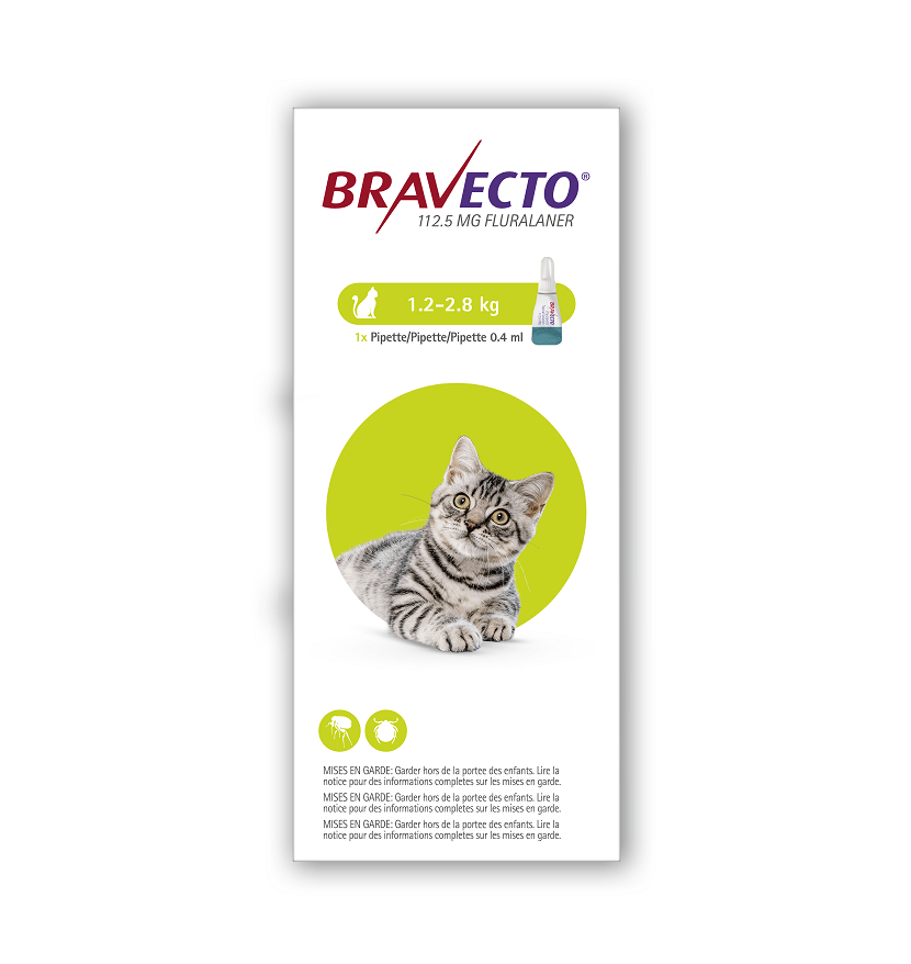Bravecto SpotOn Solution for Small Cats (Single Pipette) 112.5mg