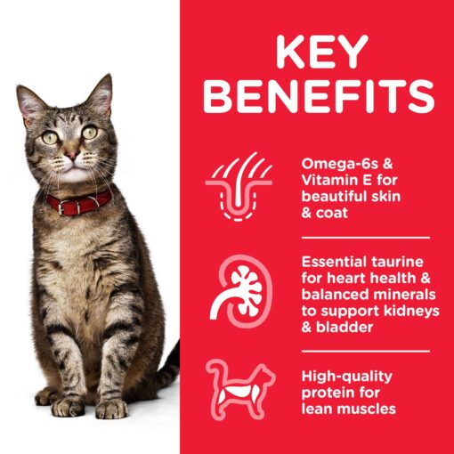 CAT Adult Chicken Transition Benefits - Hill's Science Plan - Adult Cat Food With Chicken