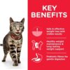 CAT Adult Perfect Weight Chicken Transition Benefits - Hill’s Science Plan – Perfect Weight Adult Cat Food With Chicken