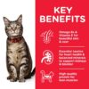 CAT Adult Tuna Transition Benefits - Hill's Science Plan - Adult Cat Food With Chicken
