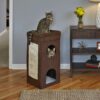 Curious Cat Condo 3 - Midwest Homes - Curious Cat Condo
