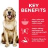 DOG Adult Large Perfect Weight Chicken Transition Benefits - Hill's Science Plan - Perfect Weight Small & Mini Adult Dog Food With Chicken
