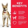 DOG Adult Performance Chicken Transition Benefits 1 - Hill's Science Plan Medium Adult Dog Food With Chicken