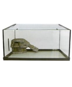 Kw Glass Turtle Tank Without Rl101