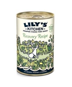 Lilys Kitchen - Recovery Recipe-400g