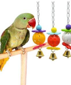 Bird Toys & Accessories