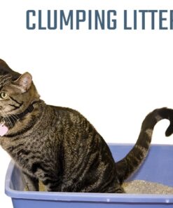 Clumping Litter