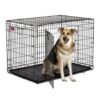 midwest crates 42 - Carnilove Duck & Pheasant For Adult Dogs