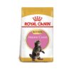Royal Canin - Feline Breed Nutrition Maine Coon Kitten