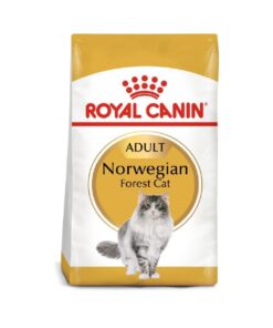 Royal Canin Feline Breed Nutrition Norwegian Forest Cat