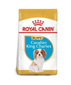 Breed Health Nutrition Cavalier King Charles Puppy
