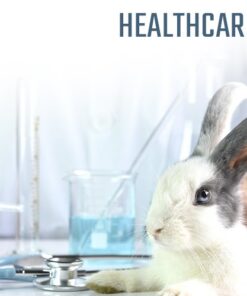 Small Pets Healthcare