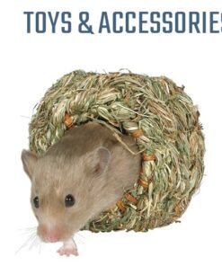 Small Pets Toys & Accessories