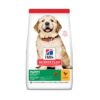 Hill's Science Plan Large Breed Puppy food with Chicken